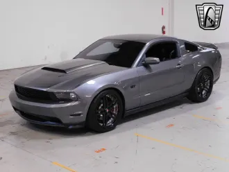 Mustang 14