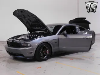 Mustang 16