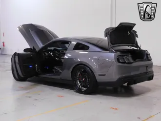 Mustang 17