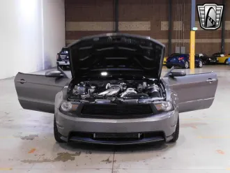 Mustang 21