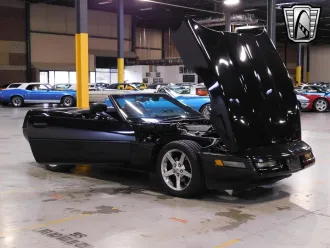 Corvette 20