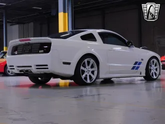 Mustang 13
