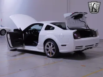 Mustang 17