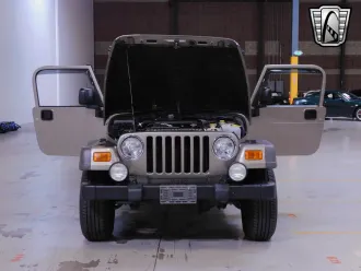 Wrangler 21