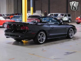 Mustang 4