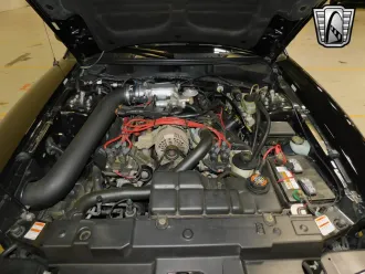 Mustang 9