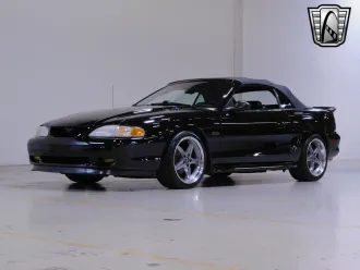 Mustang 12