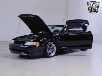 Mustang 16