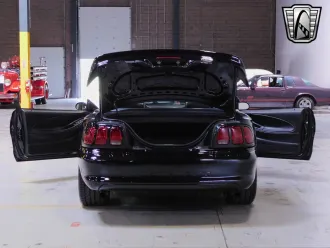 Mustang 18