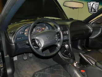 Mustang 23