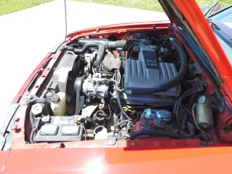 Mustang 14