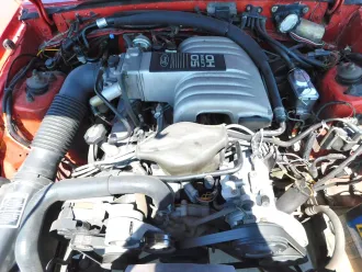 Mustang 15