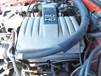 Mustang 16