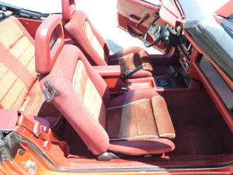 Mustang 22