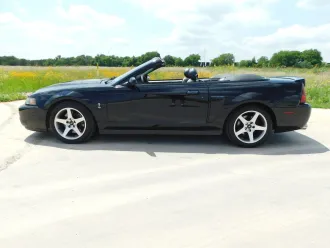 Mustang 3
