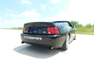 Mustang 6