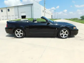 Mustang 7