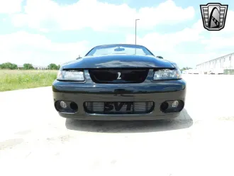 Mustang 9