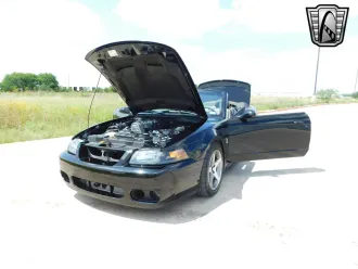Mustang 10