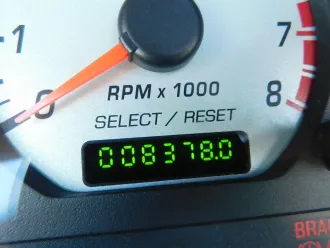Mustang 18