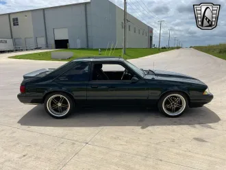 Mustang 5