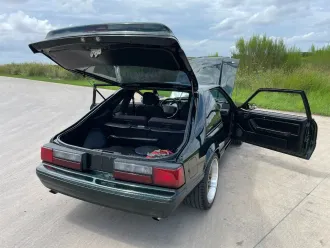 Mustang 7