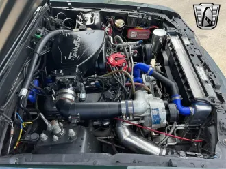 Mustang 11