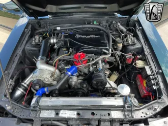 Mustang 12