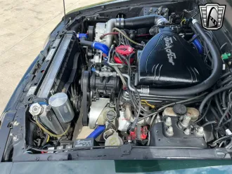 Mustang 13