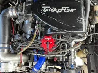 Mustang 16