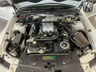 Mustang 12