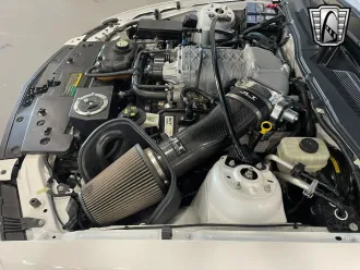 Mustang 13