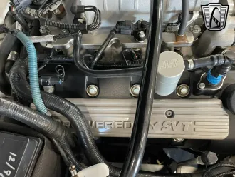Mustang 14