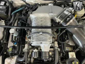 Mustang 15