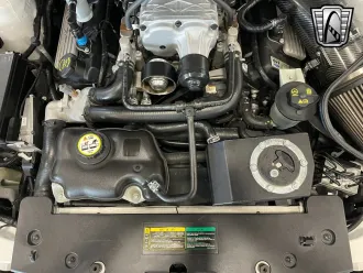 Mustang 16