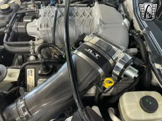 Mustang 17
