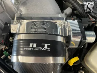 Mustang 18