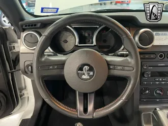 Mustang 20