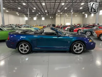 Mustang 5