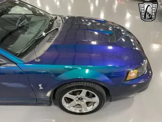 Mustang 7