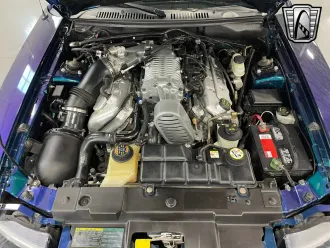 Mustang 11