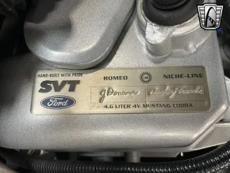 Mustang 14
