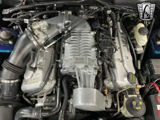 Mustang 15