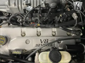 Mustang 16