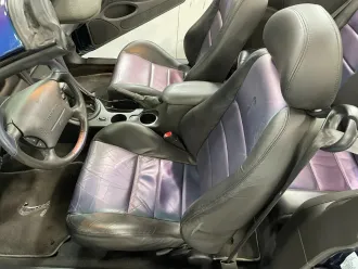 Mustang 17