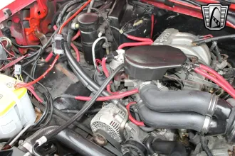 Bronco 19