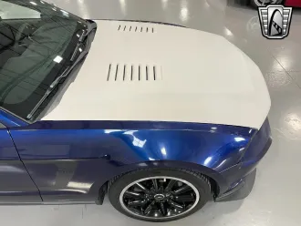 Mustang 7