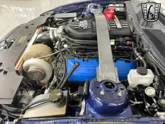 Mustang 16