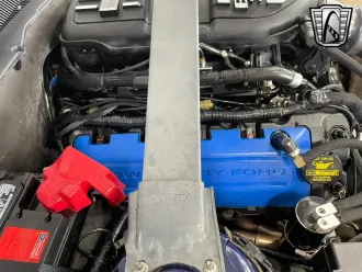 Mustang 17