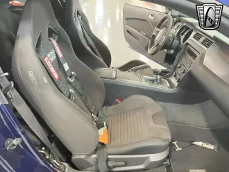 Mustang 25